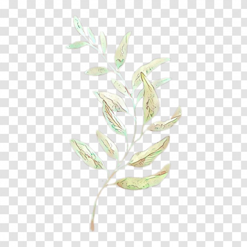 Watercolor Flower Background - Pedicel - Plant Stem Twig Transparent PNG