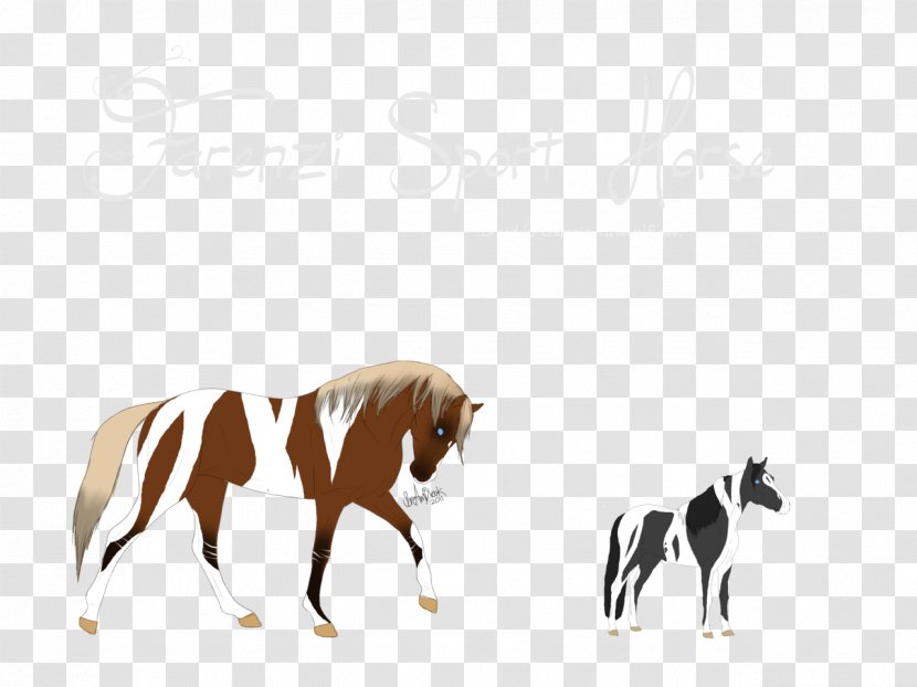 Mustang Stallion Foal Colt Mare - Pack Animal Transparent PNG