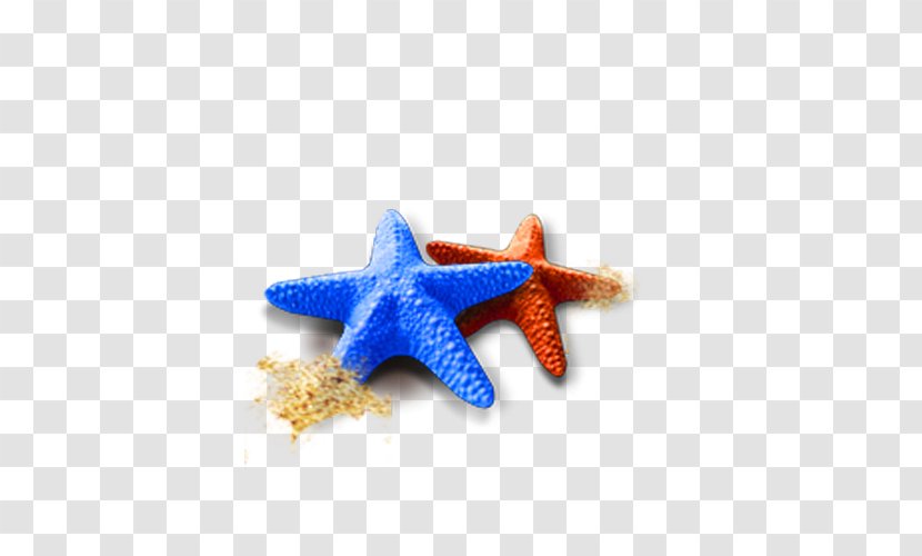 Starfish Icon - Chemical Element Transparent PNG