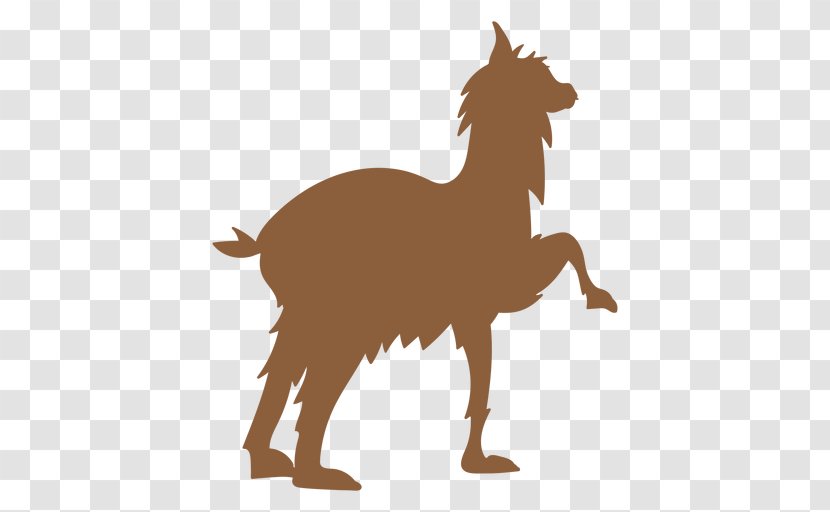 Dog Llama Silhouette Vector Graphics - Mane Transparent PNG