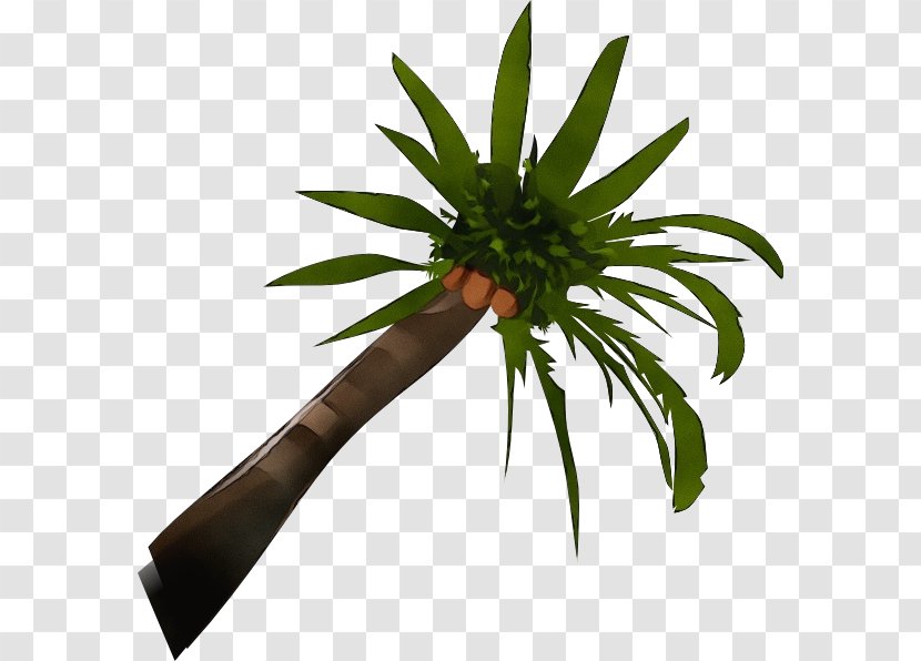 Clip Art Vector Graphics Palm Trees Openclipart Coconut - Flowerpot - Botany Transparent PNG