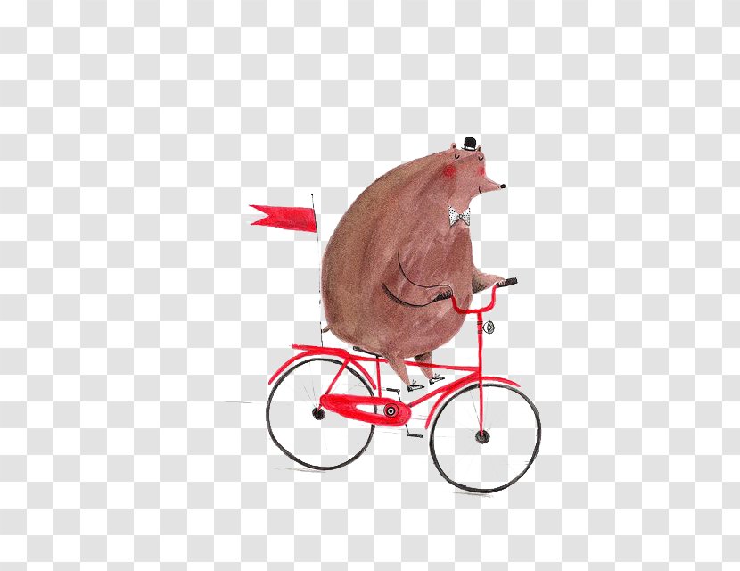 Bicycle Bear Drawing Illustration - Snout - Pig Transparent PNG