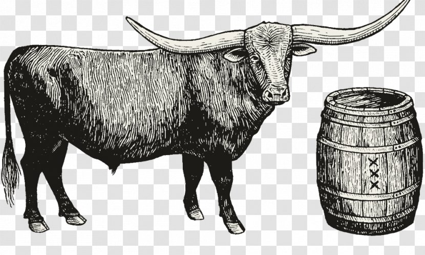 Texas Longhorn Zebu Moonshine United States Distilled Beverage - Cattle Transparent PNG