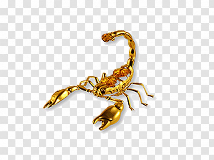 Scorpion Amulet Talisman Zodiac - Golden Lobster Transparent PNG