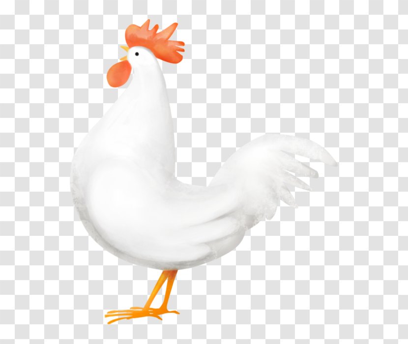 Rooster Chicken Goose Cygnini Water Bird - As Food Transparent PNG
