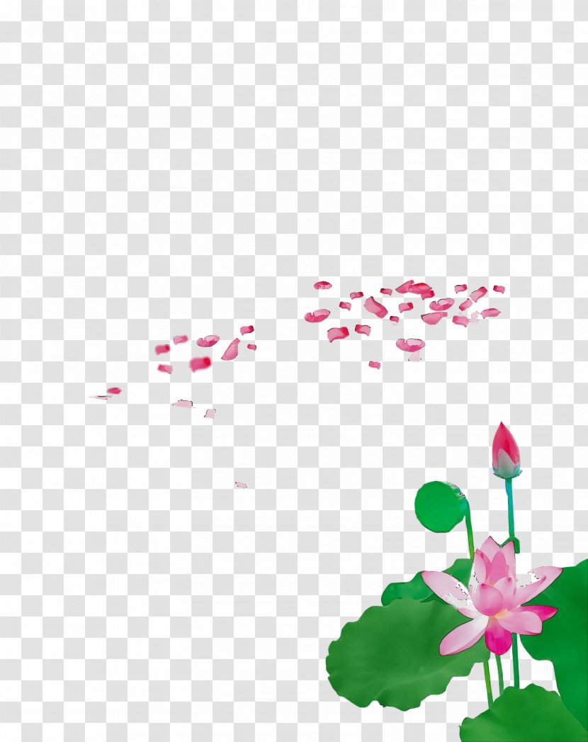 Pink Flower Plant Petal Pedicel - Herbaceous Transparent PNG