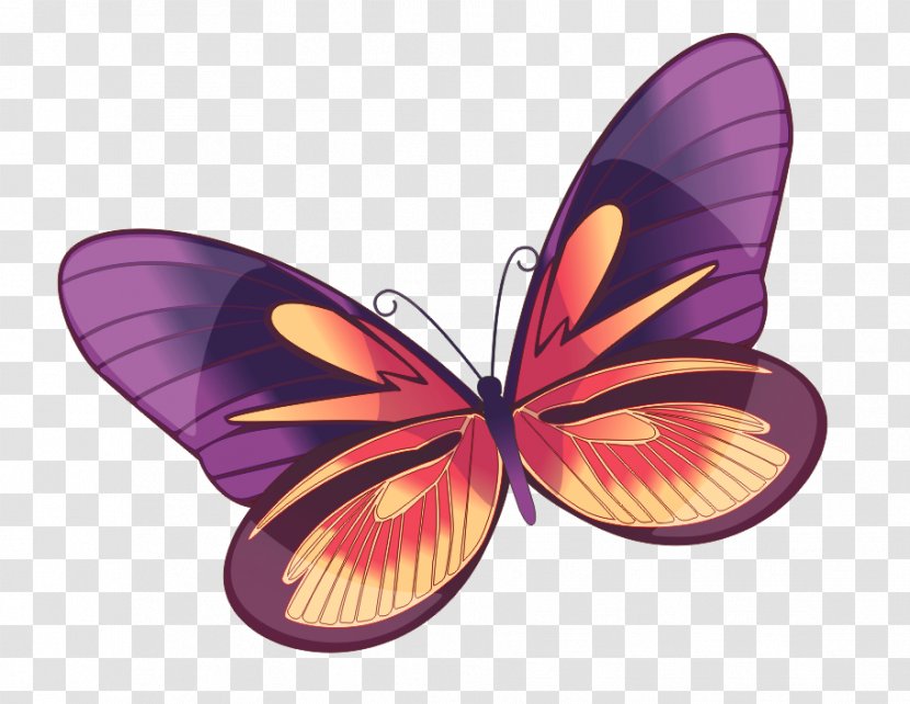Monarch Butterfly Insect Clip Art Borboleta - Wing Transparent PNG