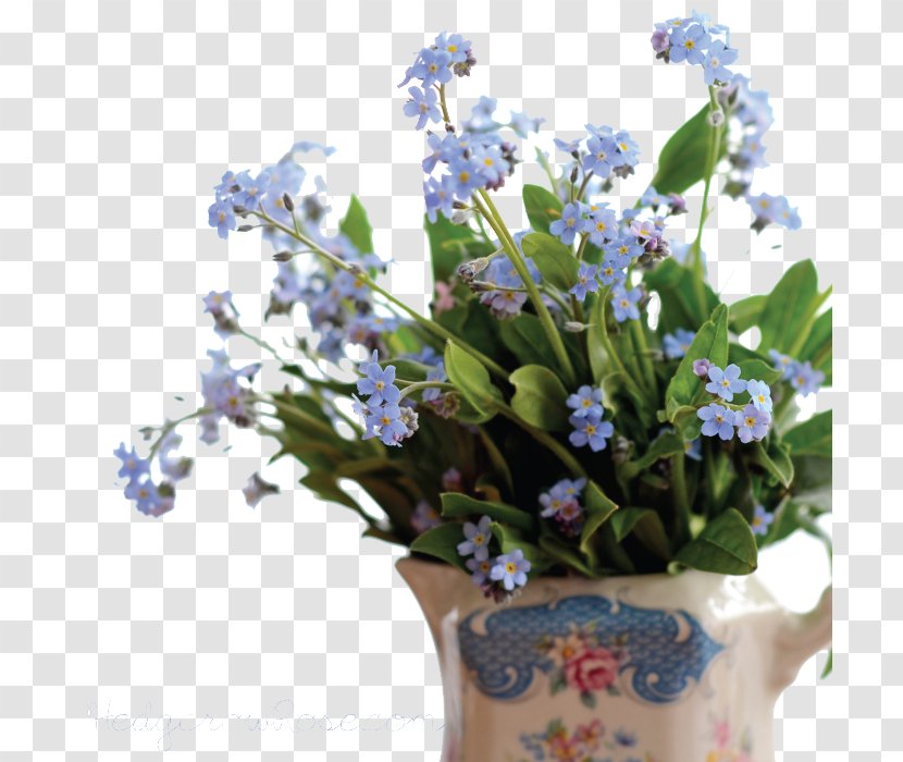 Scorpion Grasses - Blue - Forget Me Not Pic Transparent PNG