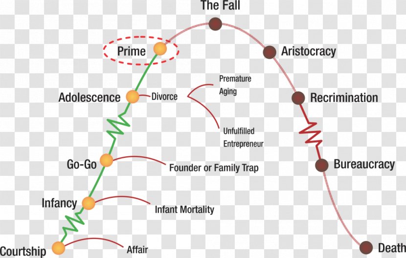 Corporate Life Cycles Managing Lifecycles Lifecycles: How And Why Corporations Grow Die What To Do About It Organizational Cycle - Business Transparent PNG