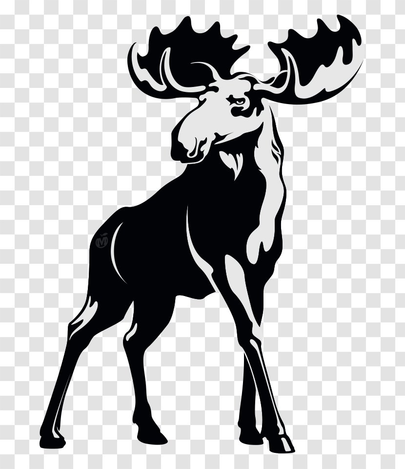 Moose Cider Logo Clip Art - Bull - New Taste Transparent PNG