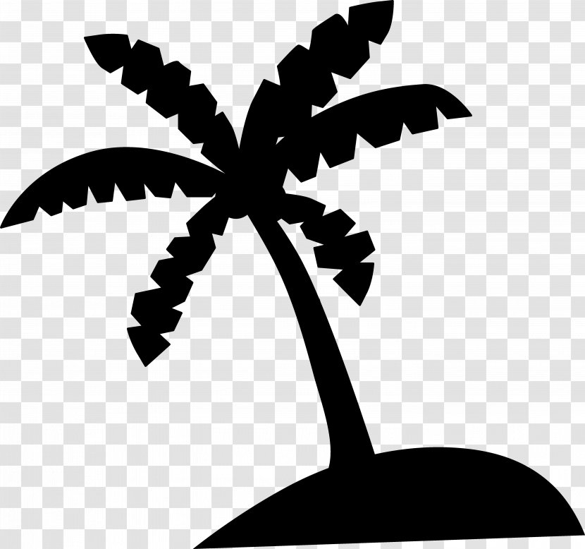 Palm Trees Clip Art Coconut Illustration - Nut Transparent PNG