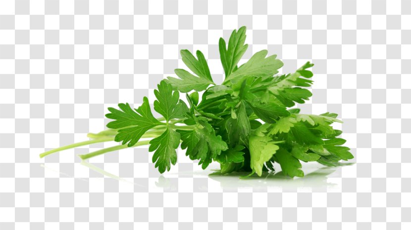 Parsley Asian Cuisine Hummus Herb Spice - Oil Transparent PNG