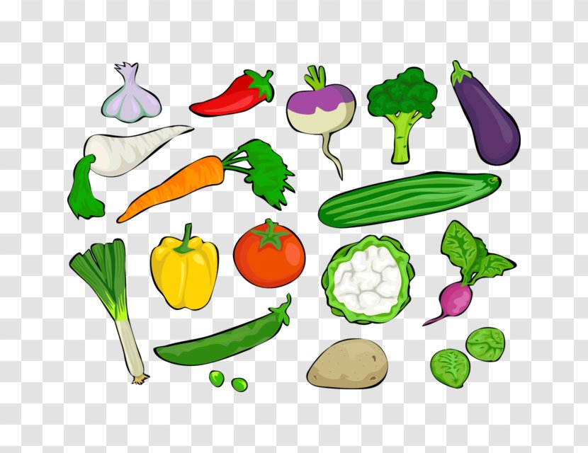 Vegetable Food Daikon Clip Art Transparent PNG