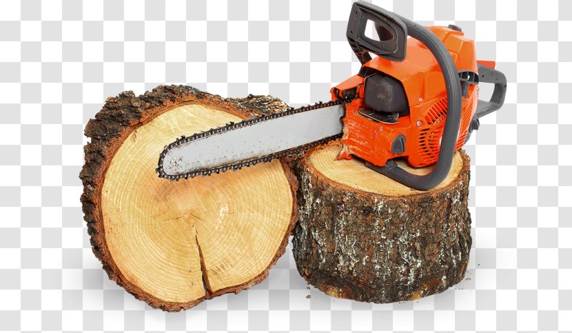 Chainsaw Firewood Forestry Photography - Trunk - Falling Leaf Stump Remover Transparent PNG