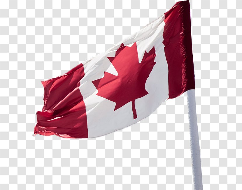 Flag Of Canada Stock Photography - Red - Study In Transparent PNG