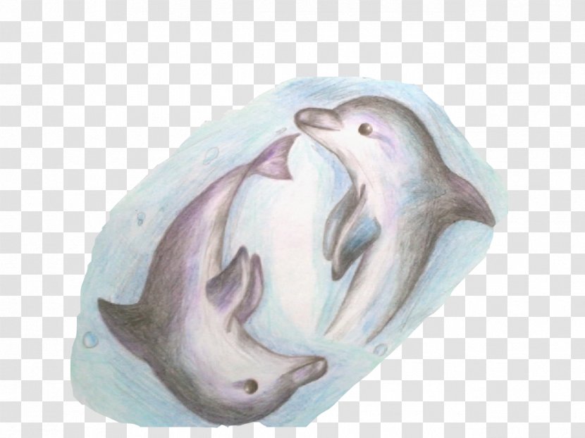 Dolphin, Dolphin Porpoise Cetacea - Google Images - Two Dolphins Sleep Transparent PNG