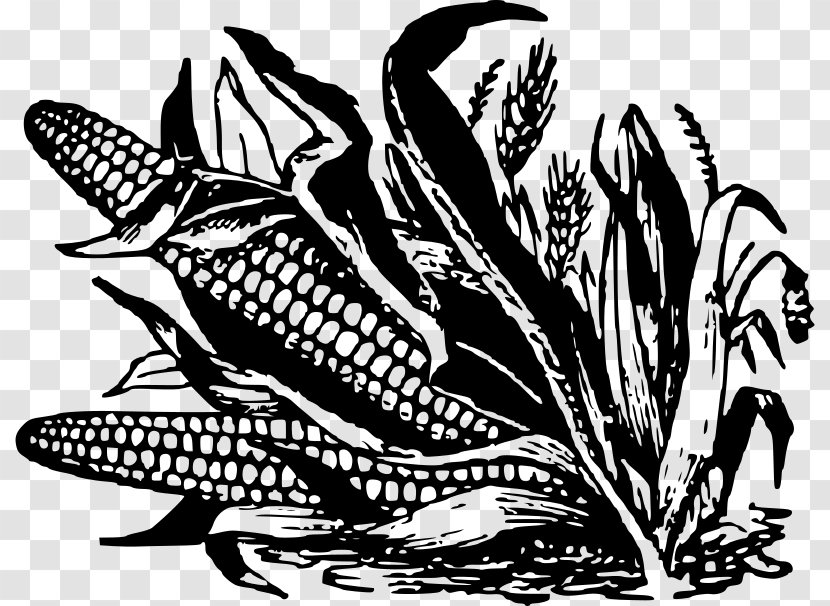 Corn On The Cob Black And White Fritter Candy Maize - Ear - Popcorn Transparent PNG