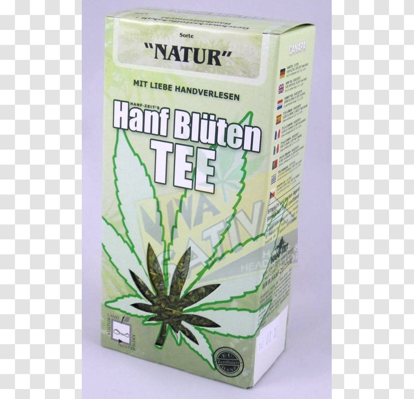 Cannabis Tea Masala Chai Damiana Hemp Oil Transparent PNG