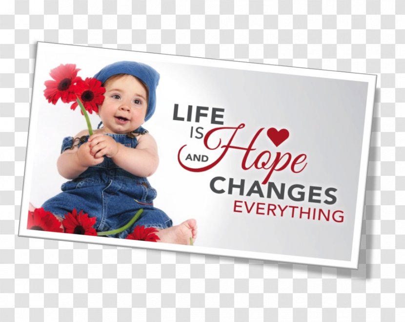 Photography National Sanctity Of Human Life Day Child - Material - Picture Frame Transparent PNG