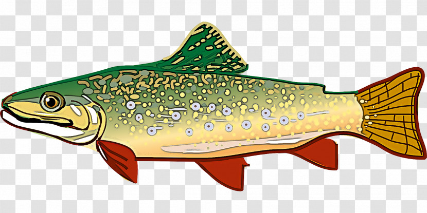 Fish Fish Brown Trout Trout Cutthroat Trout Transparent PNG