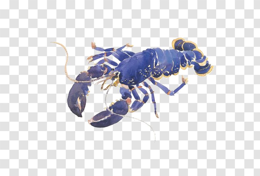 Red Lobster Crab Seafood Palinurus Elephas - Food - Purple Transparent PNG