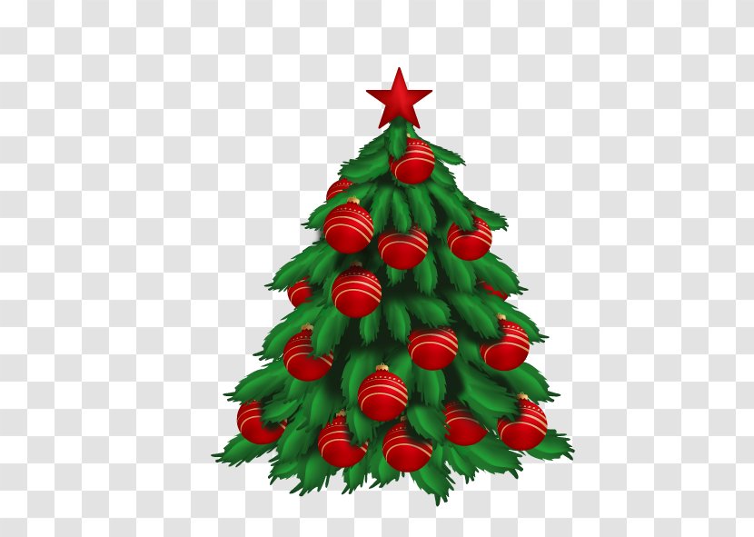 Christmas Tree - Decor - Pine Family Transparent PNG