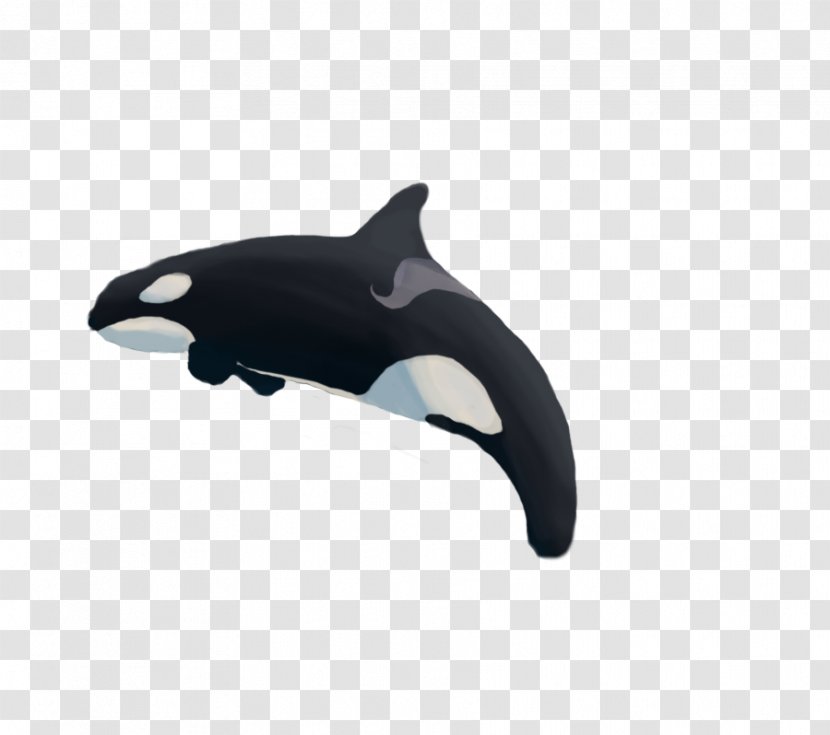 Dolphin Product Design Whale - Mammal - Tilikum Killer Transparent PNG