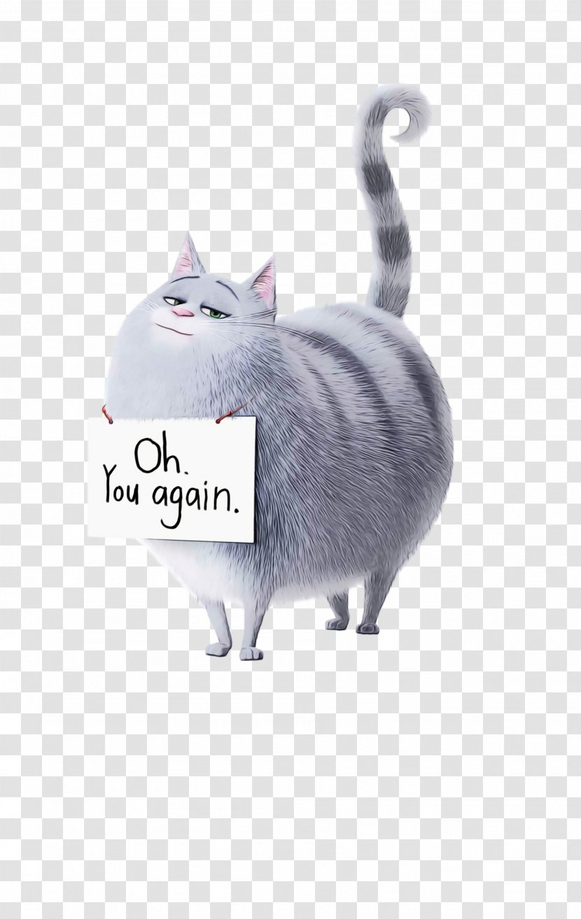 Chloe The Secret Life Of Pets Illumination Film Universal Pictures - Small To Mediumsized Cats Transparent PNG