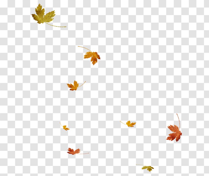 Autumn Leaf - Scattered Maple Leaves Transparent PNG