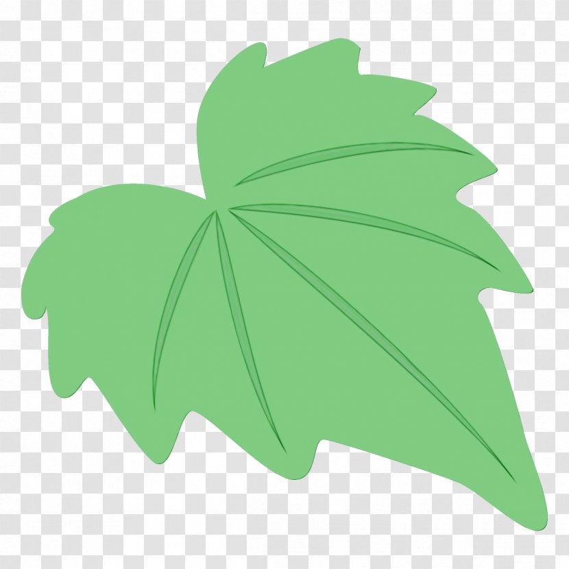 Maple Leaf - Plant - Plane Symbol Transparent PNG