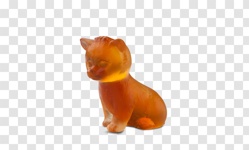 Cat Kitten Dog Canidae Snout - Small To Medium Sized Cats Transparent PNG