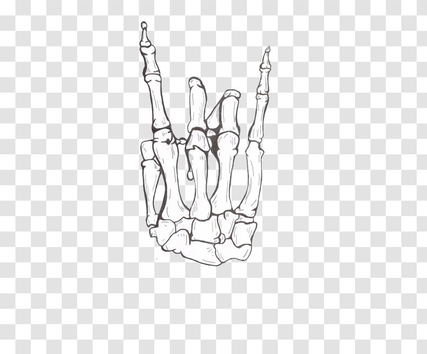 Human Skeleton Carpal Bones Drawing - Body Transparent PNG