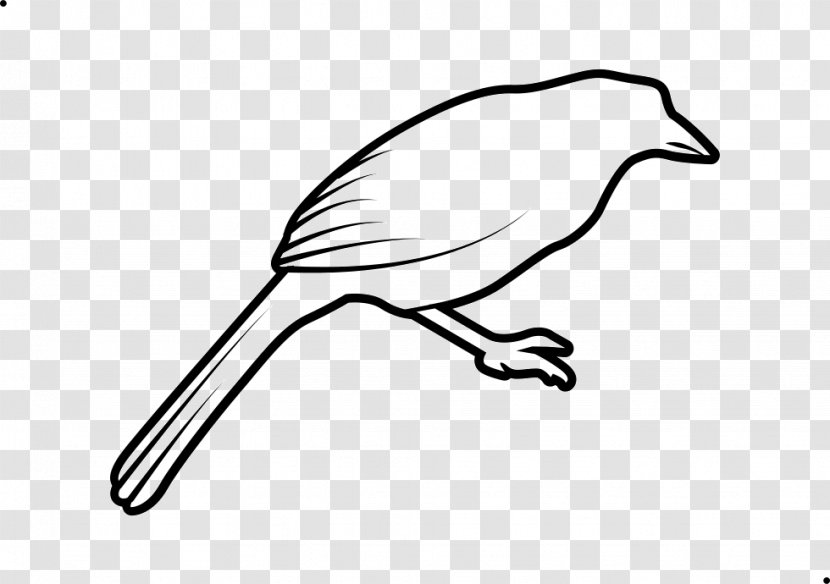 Bird Line Drawing - European Robin - Twig Transparent PNG