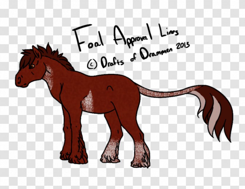 Mule Foal Mustang Stallion Donkey - Livestock Transparent PNG
