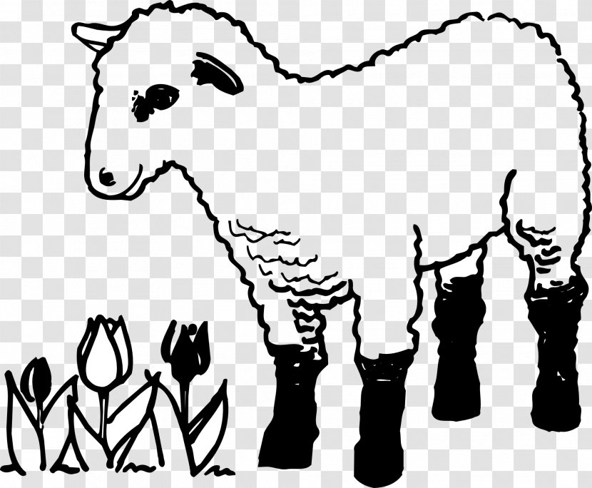 Parable Of The Lost Sheep Coloring Book Lamb And Mutton Shepherd - Cartoon Transparent PNG