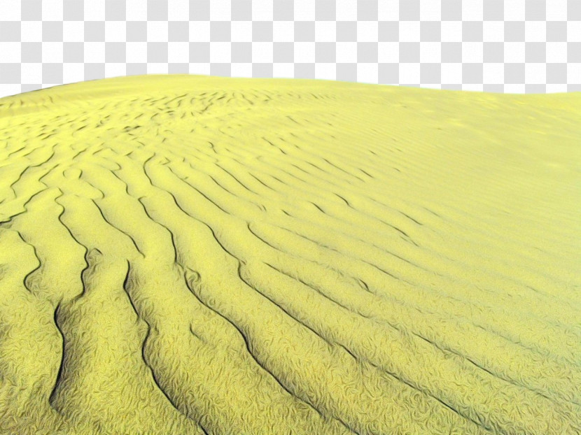Aeolian Landform Sand Landscape Ecoregion Yellow Transparent PNG