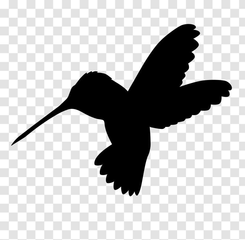 Bird Logo - Blackandwhite - Tail Transparent PNG