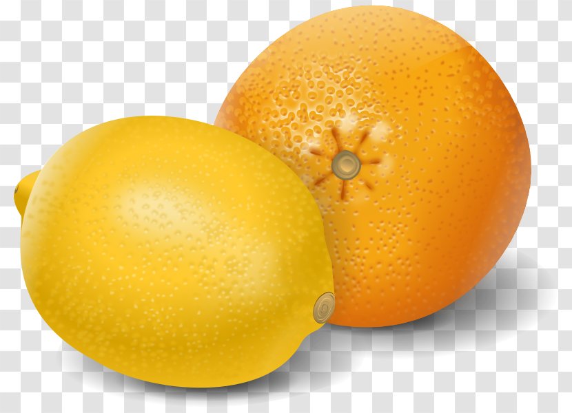 Orange Juice Lemon - Oil Transparent PNG