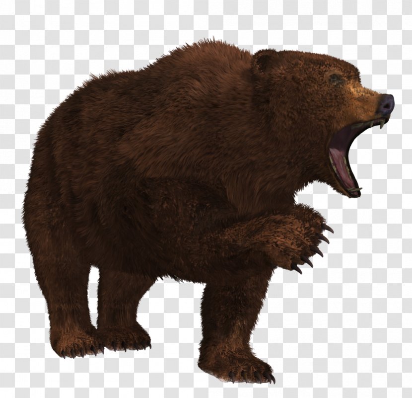 Grizzly Bear - 7 Transparent PNG