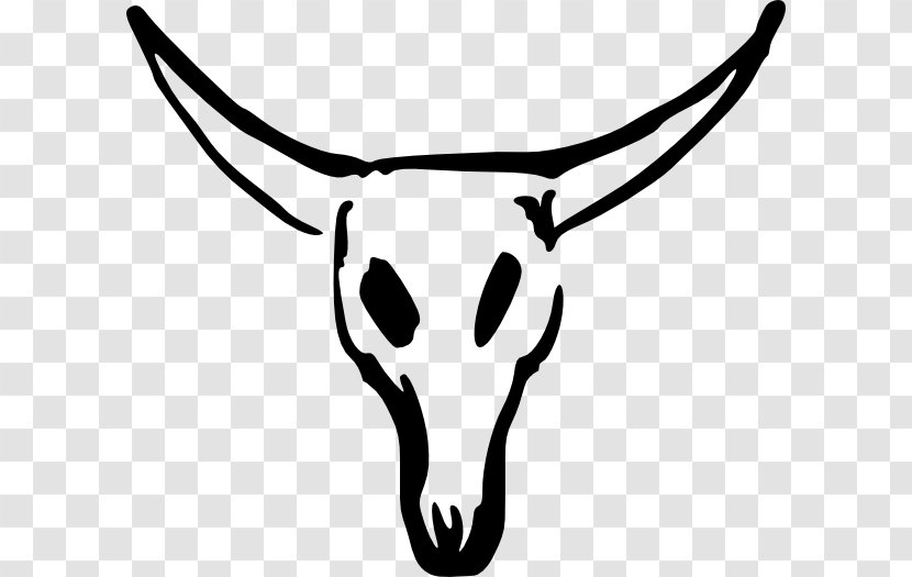 Horn Bovine Head Snout Black-and-white - Wildlife Line Art Transparent PNG