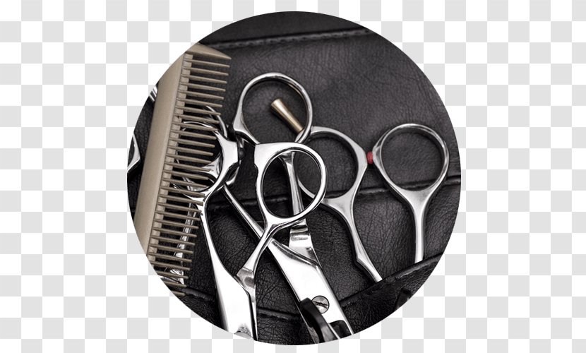 Beauty Parlour Cosmetologist Hairstyle Comb - Haircutting Shears - Parlor Transparent PNG