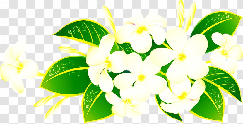 Flower Download Computer File - Floraison - Lily Transparent PNG