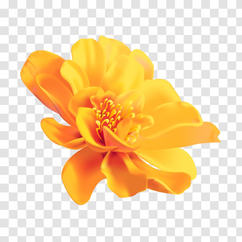 Yellow Flower Color Image - Camera Transparent PNG