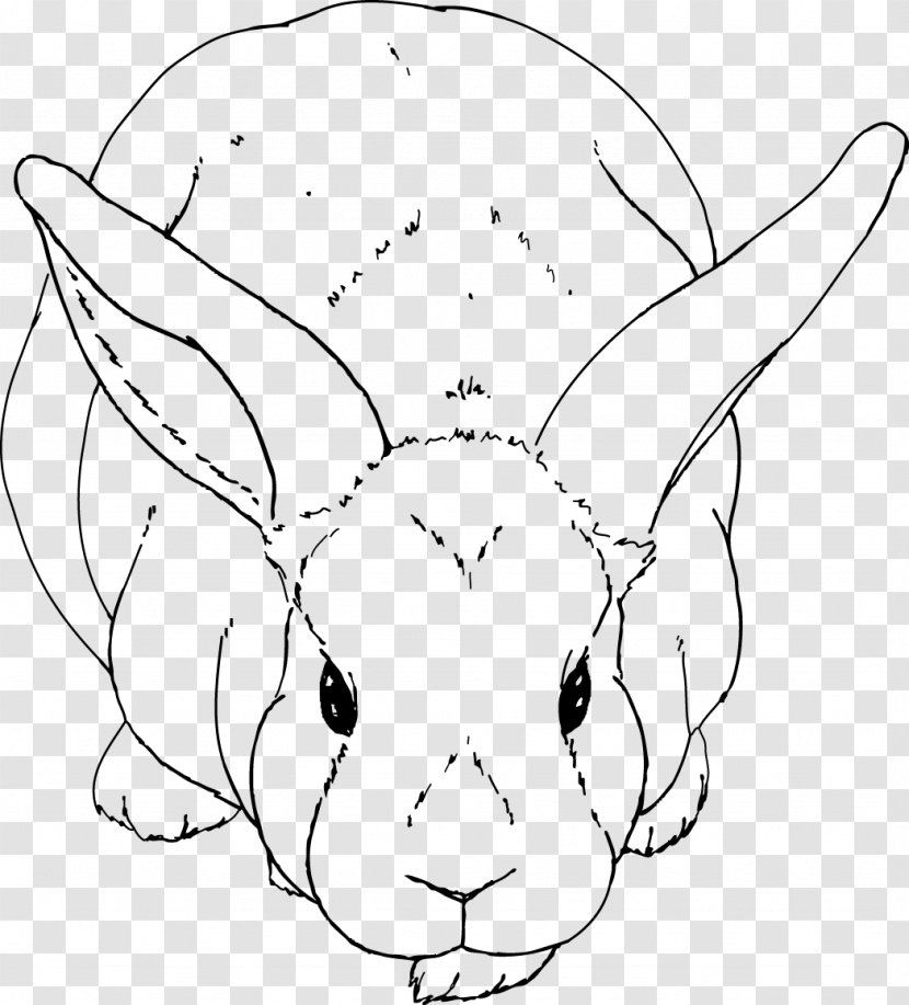 Domestic Rabbit European Drawing Line Art - Artwork - Shih Tzu Pattern Transparent PNG