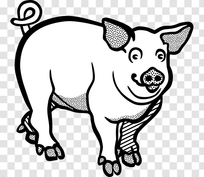 Large White Pig Clip Art Vector Graphics Image - Line - Farm Animal Transparent PNG