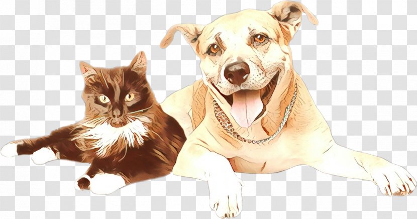 Dog And Cat - Snout - Chihuahua Small To Mediumsized Cats Transparent PNG