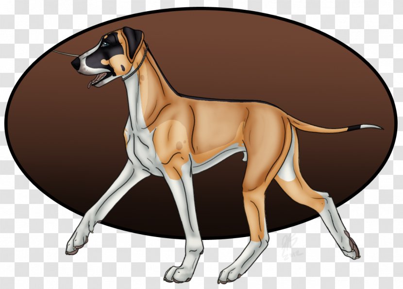 Great Dane Italian Greyhound Azawakh Dog Breed - Crossbreed - Dogo Argentino Transparent PNG