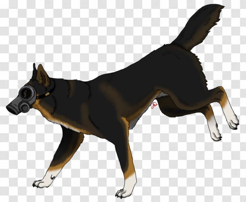 Dog Breed Leash Snout Transparent PNG