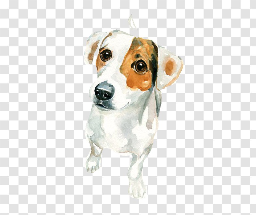 Jack Russell Terrier Watercolor Painting Art - Macular White Puppy Transparent PNG