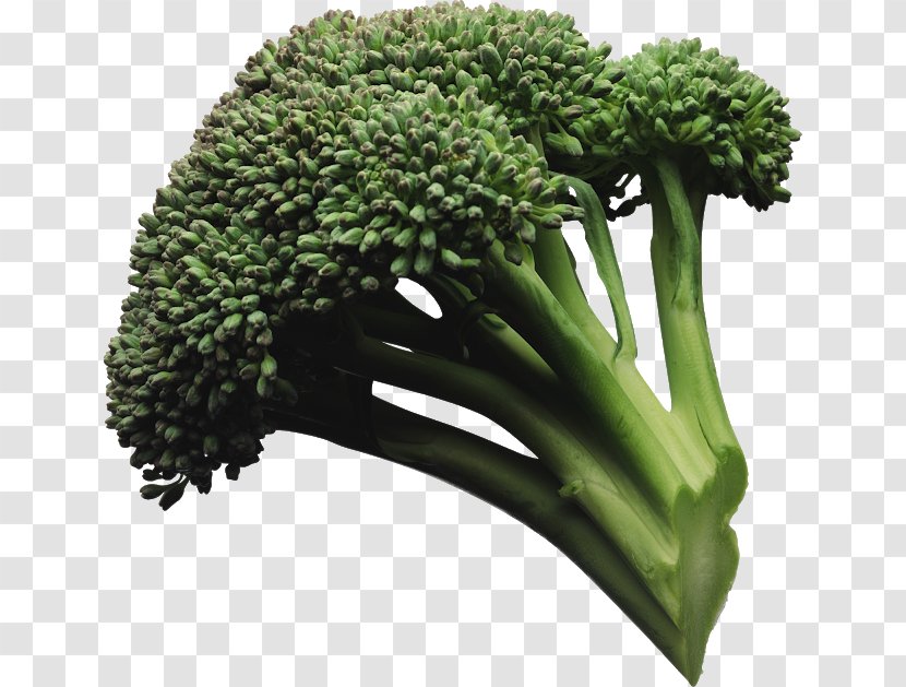 Broccoli Slaw Vegetable Coleslaw - Leaf Transparent PNG